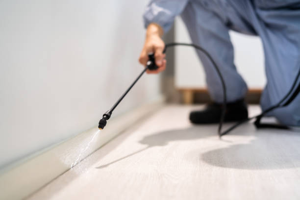 Bed Bug Pre-Treatment Preparation Assessment in Herlong
