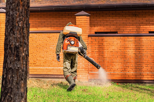 Bed Bug Clearance Verification and Documentation in Herlong